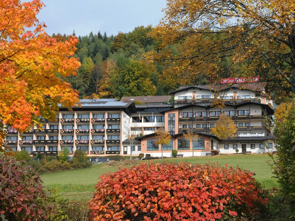Wellness- Und Ferienhotel Waldesruh Bodenmais Exterior photo